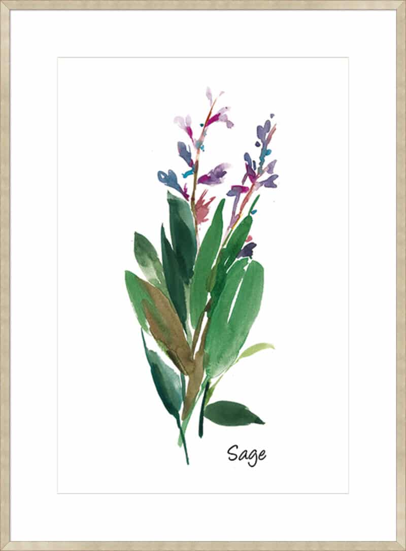 Sage I - 10cm Mount Board Sm. Box Champagne