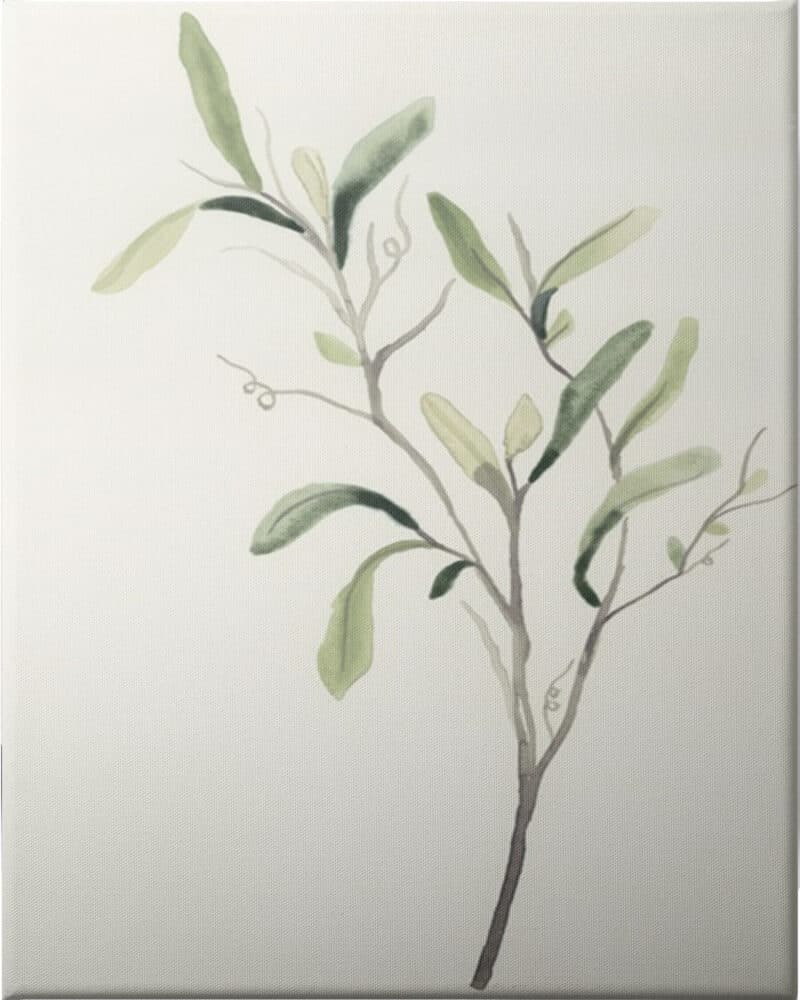 Spindle Sprig III - Unframed Canvas Unframed Canvas