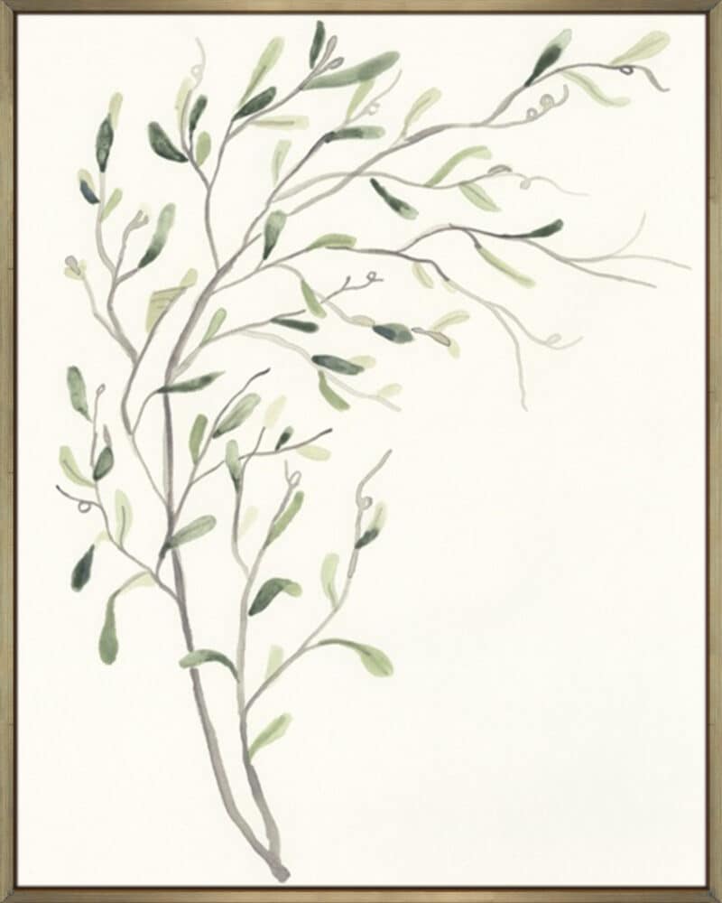 Spindle Sprig II - Canvas Gallery Champagne