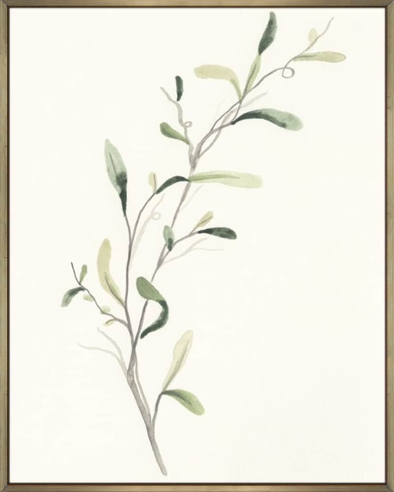 Spindle Sprig IV - Canvas Gallery Champagne