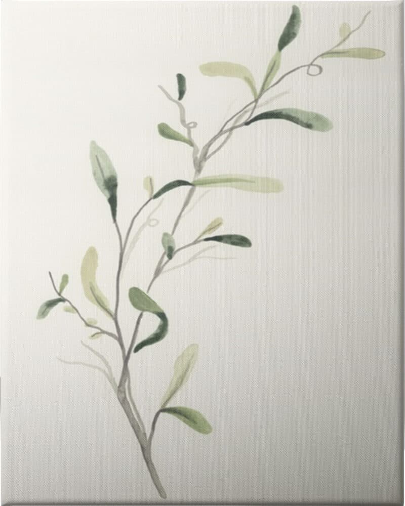 Spindle Sprig IV - Unframed Canvas Unframed Canvas