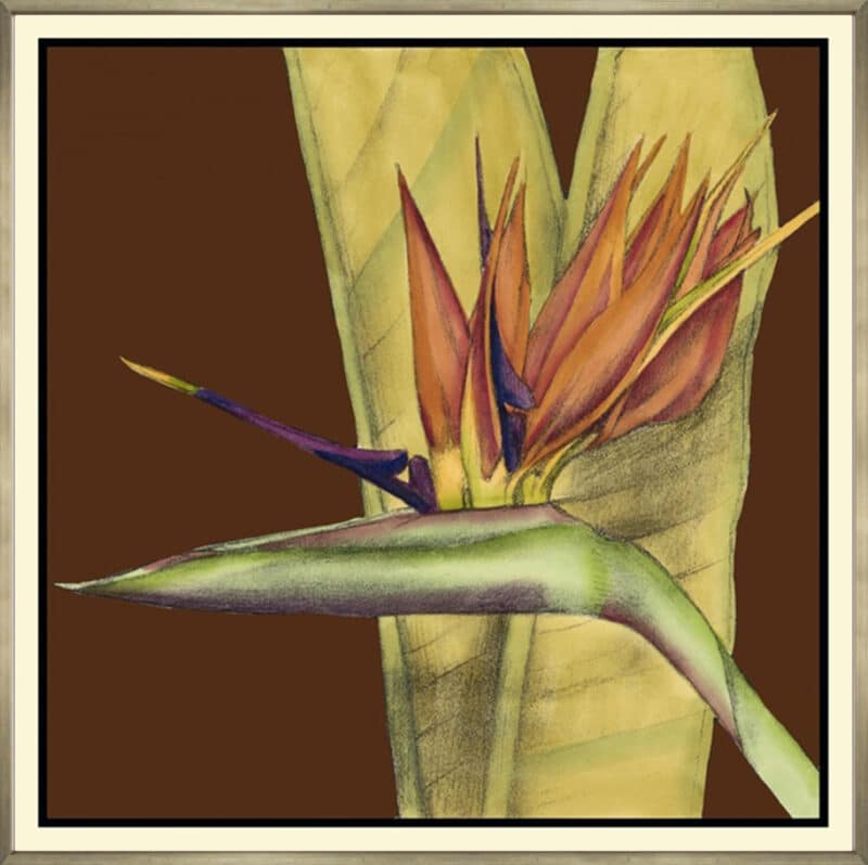 Striking Tropical II - Canvas Gallery Champagne