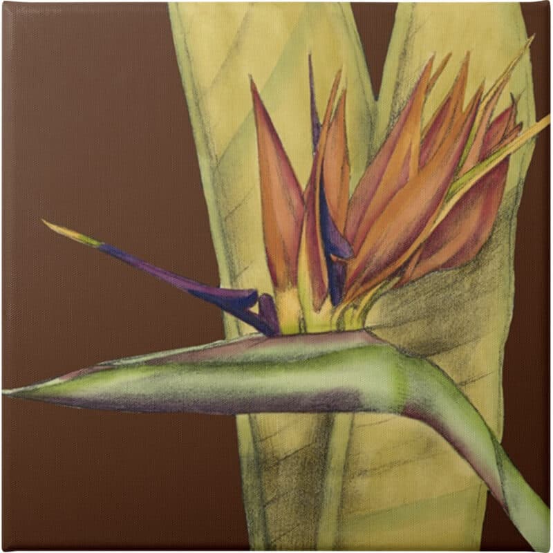 Striking Tropical II - Unframed Canvas Unframed Canvas