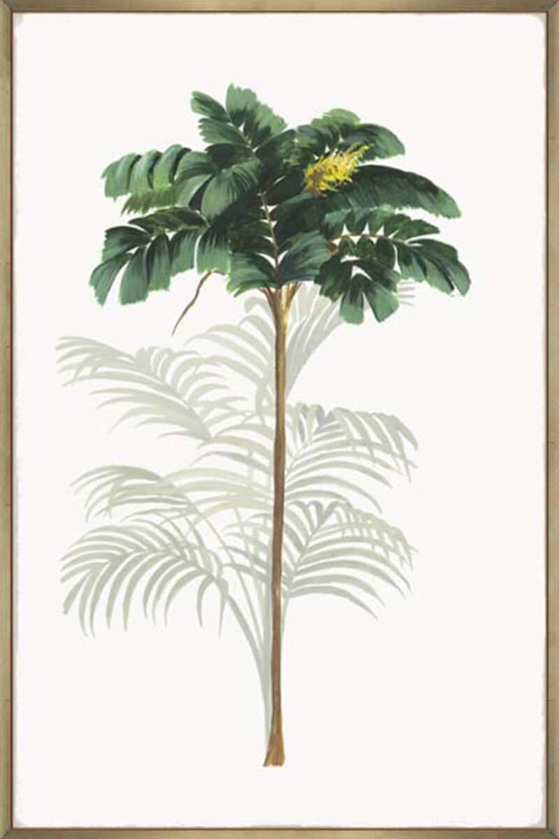 Tropic II - Canvas Gallery Champagne