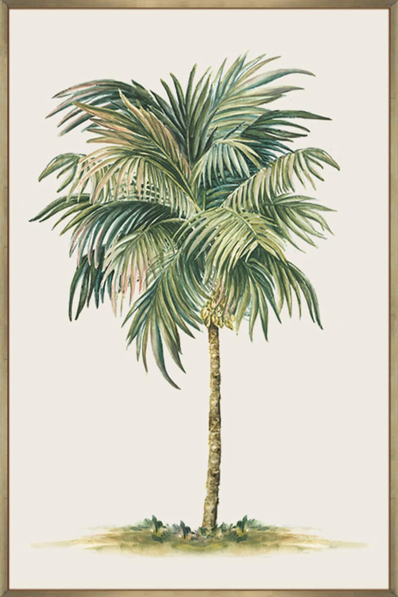 Tropical Palm Tree - Canvas Gallery Champagne