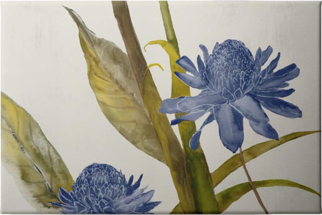 Blue Ginger - Unframed Canvas - La Grolla