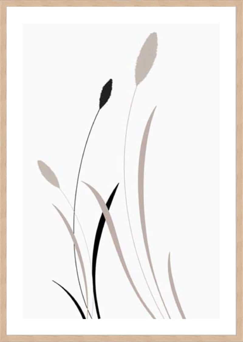 Bunny Grass II - 5cm White Border Box Natural