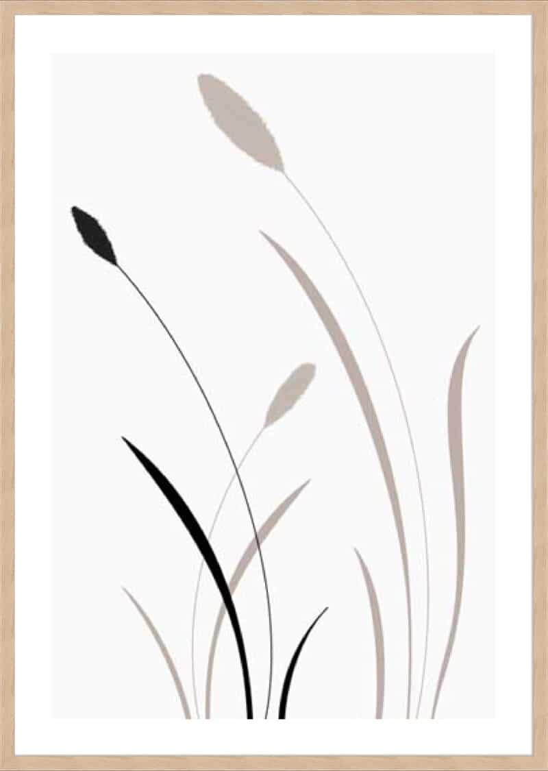 Bunny Grass I - 5cm White Border Box Natural