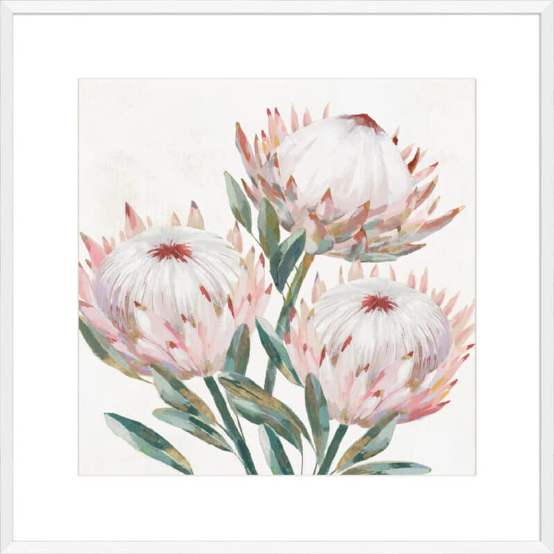 King Protea II - 10cm Mount Board Box White