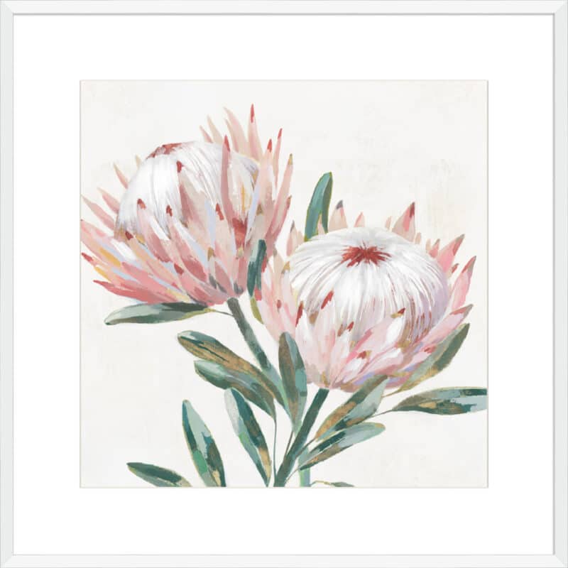 King Protea I - 10cm Mount Board Box White