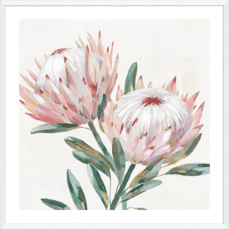 King Protea I - 5cm White Border Box White