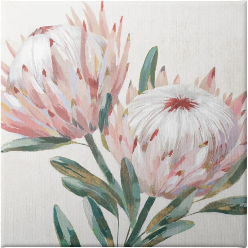 King Protea I - Unframed Canvas Unframed Canvas