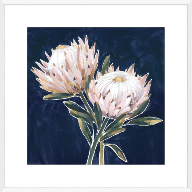 King Proteas - 10cm Mount Board Box White