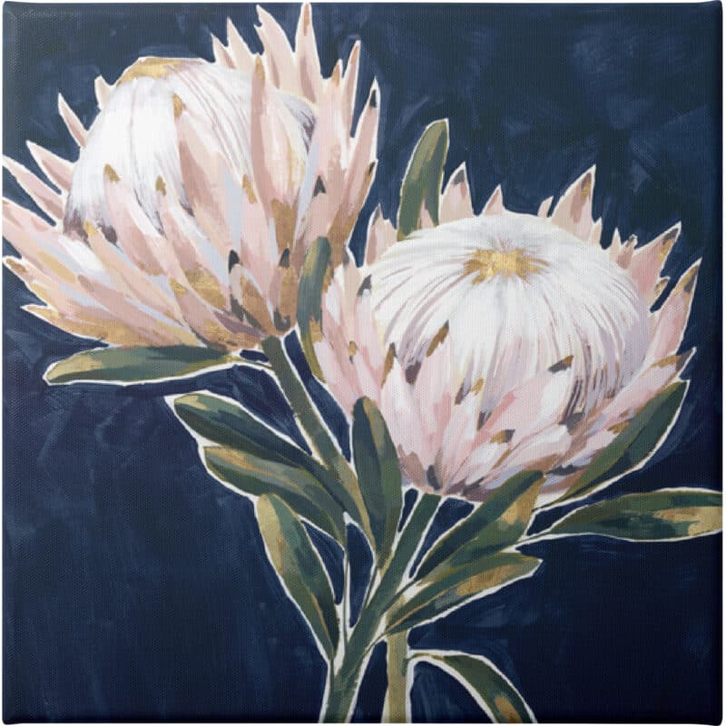 King Proteas - Unframed Canvas Unframed Canvas