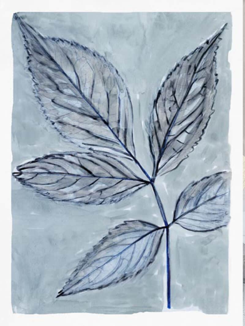 Modern Botanical Study III - Unframed Canvas Unframed Canvas