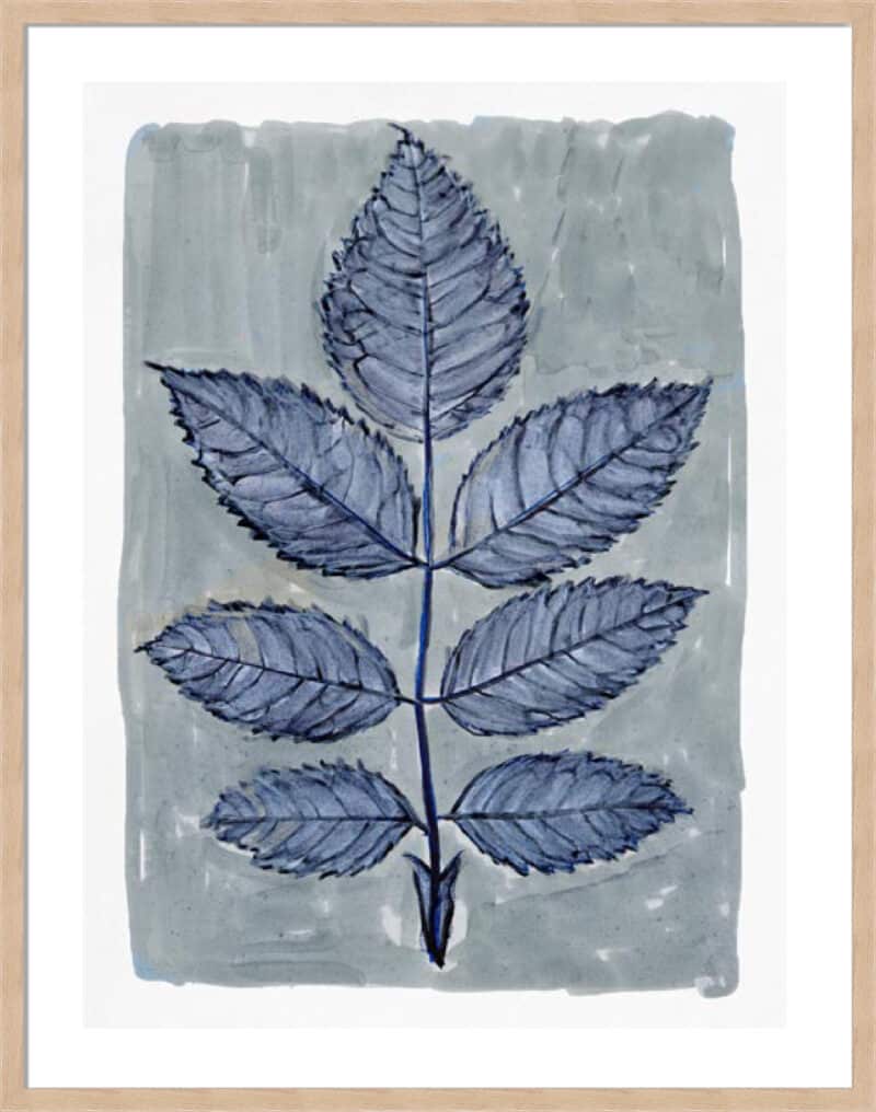 Modern Botanical Study II - 5cm White Border Box Natural