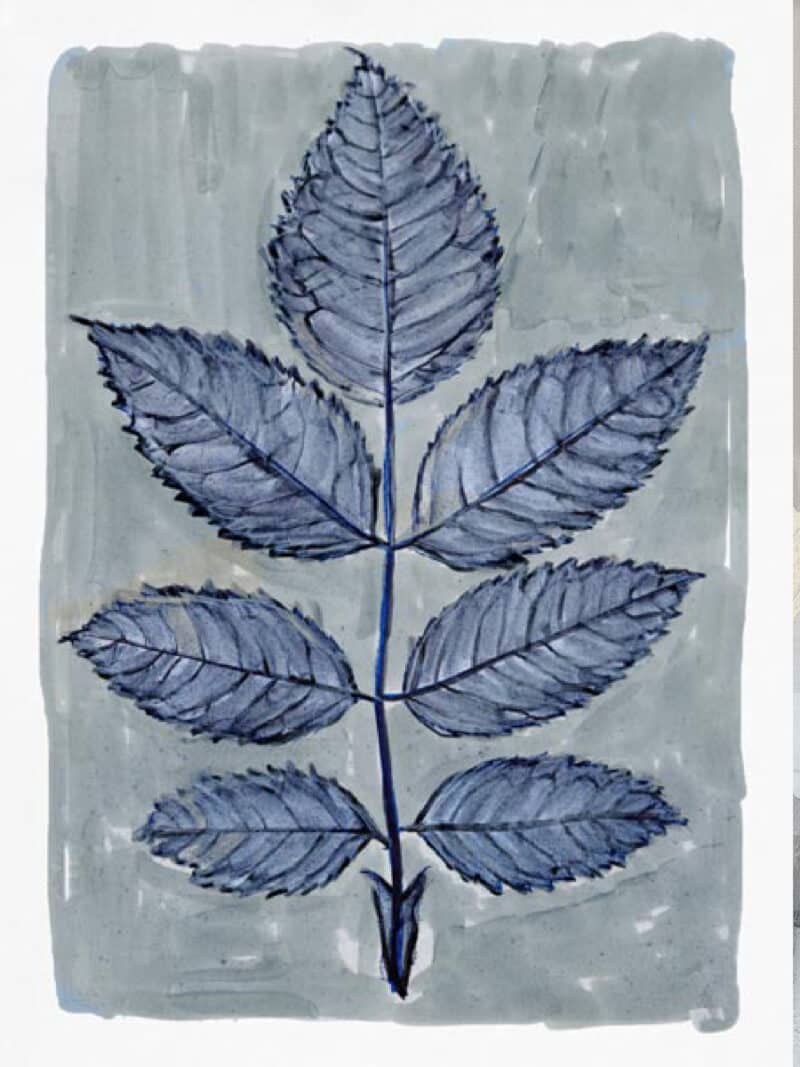 Modern Botanical Study II - Unframed Canvas Unframed Canvas