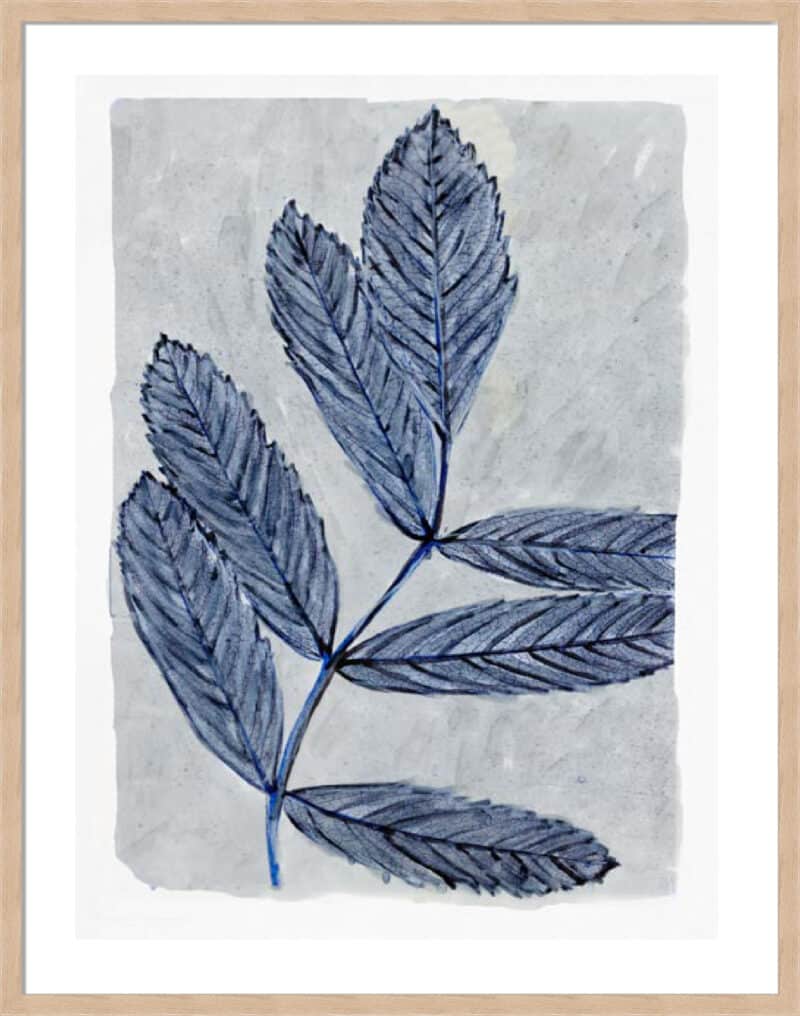 Modern Botanical Study I - 5cm White Border Box Natural