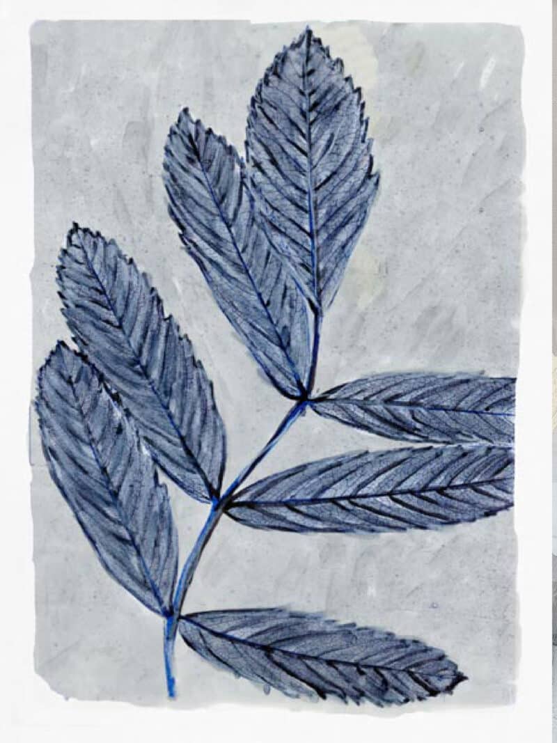 Modern Botanical Study I - Unframed Canvas Unframed Canvas