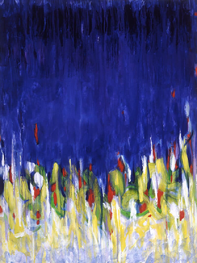 Night Iris - Unframed Canvas Unframed Canvas