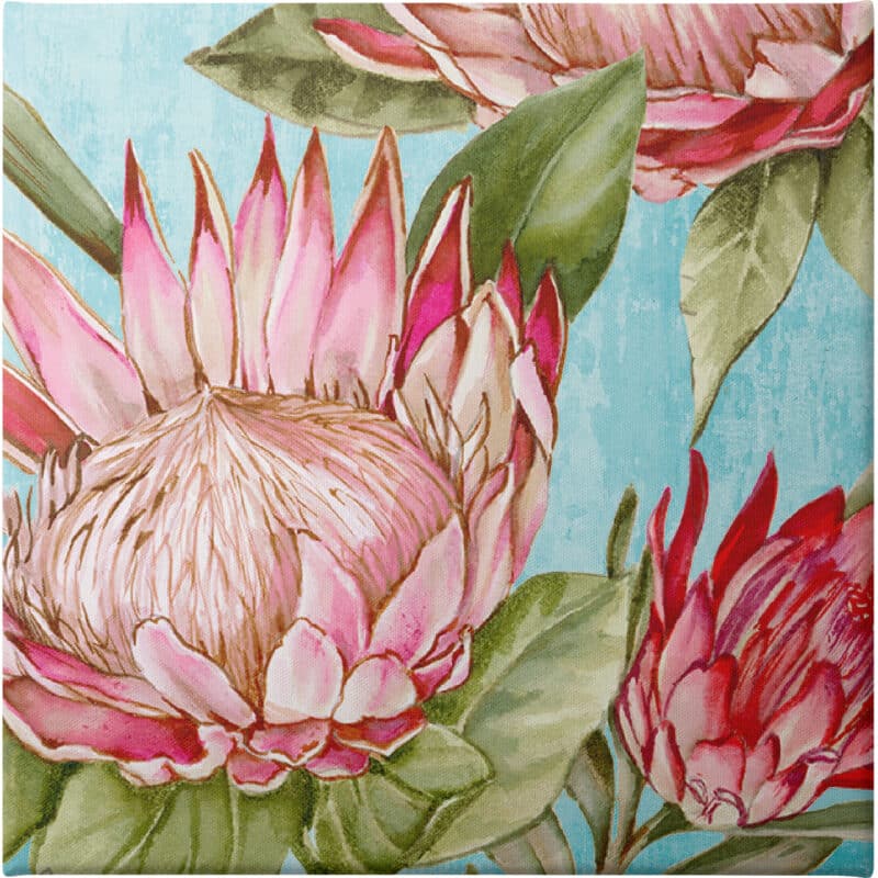 Popping King Protea II - Unframed Canvas Unframed Canvas