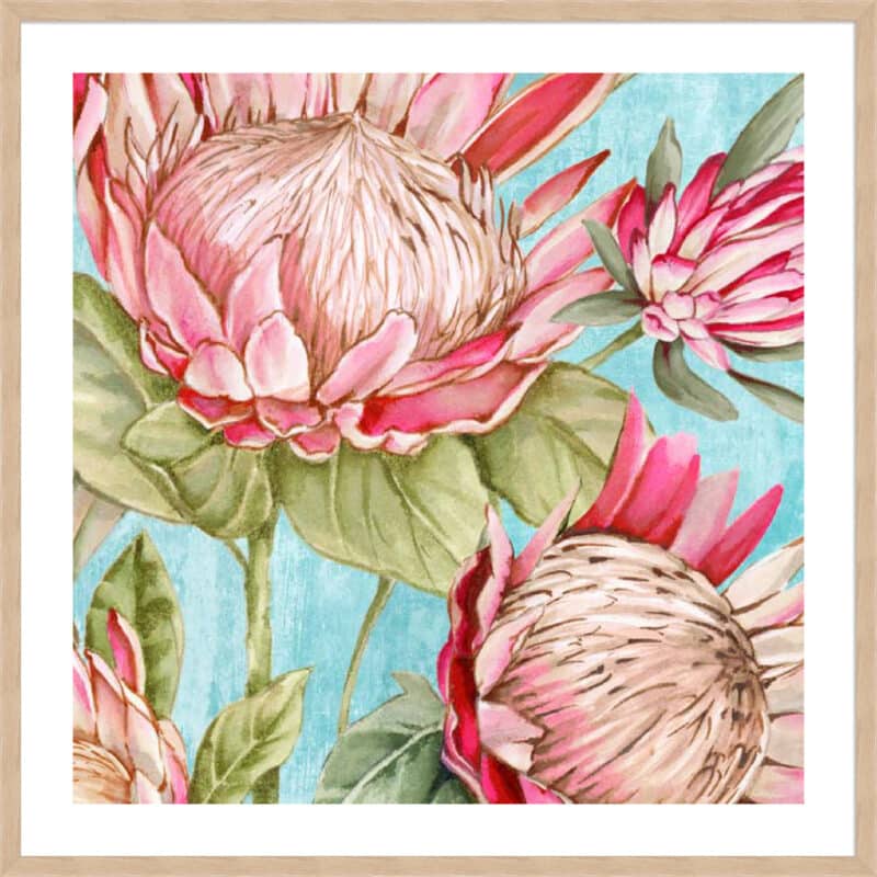 Popping King Protea I - 5cm White Border Box Natural