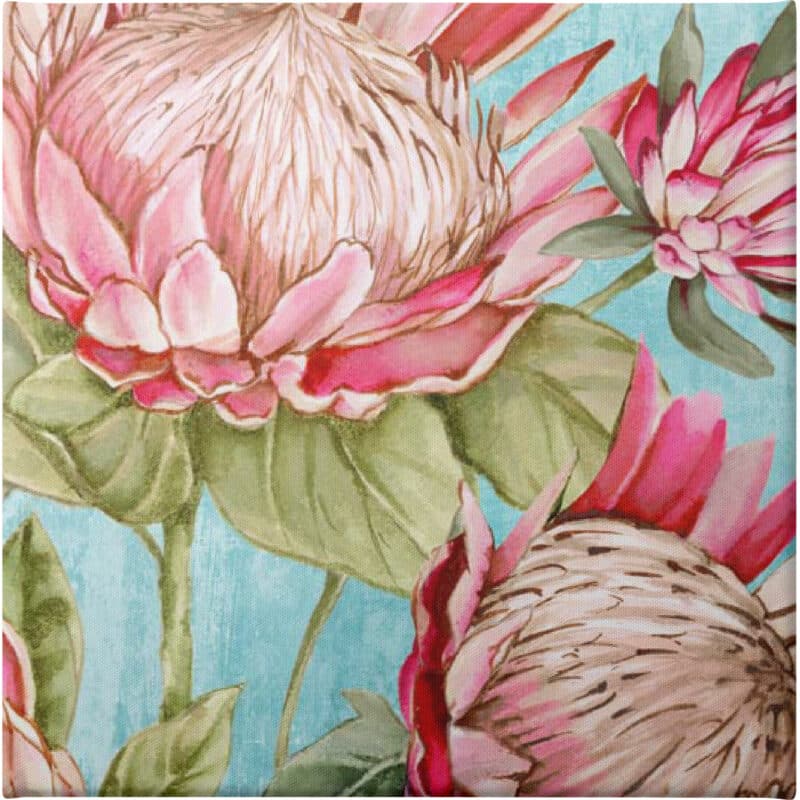 Popping King Protea I - Unframed Canvas Unframed Canvas