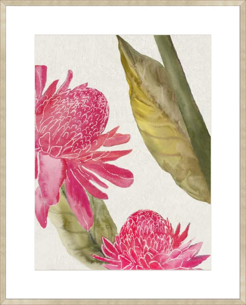 Red Ginger II - 10cm Mount Board Sm. Box Champagne