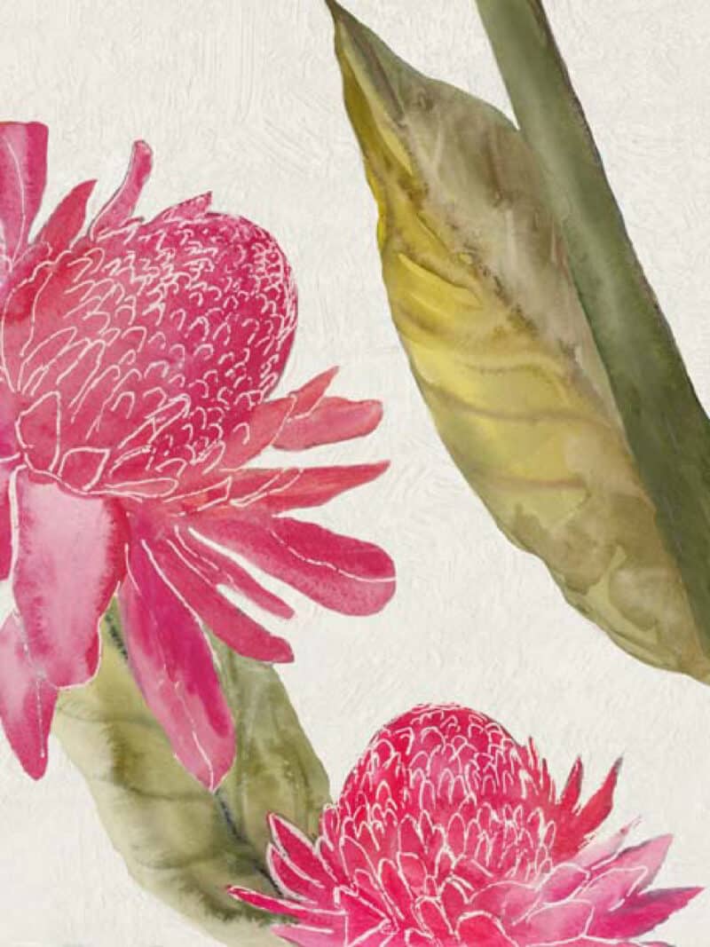 Red Ginger II - Unframed Canvas Unframed Canvas