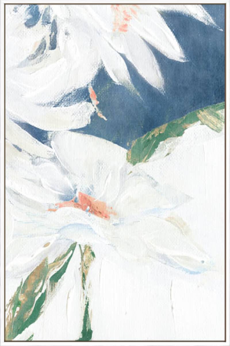 Single Daisy II - Canvas Gallery White