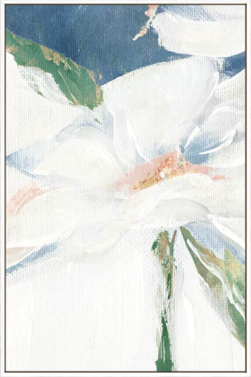 Single Daisy I - Canvas Gallery White