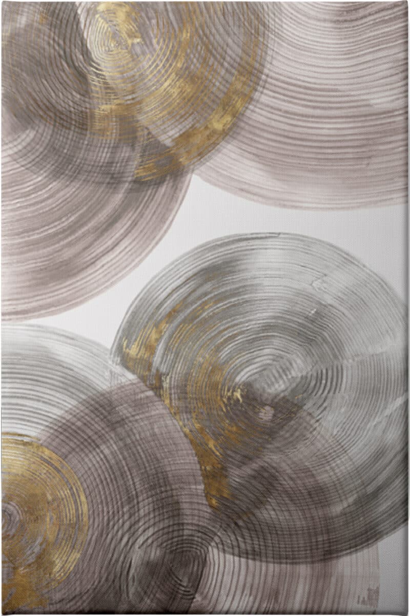 Spiral Rings I - Unframed Canvas Unframed Canvas