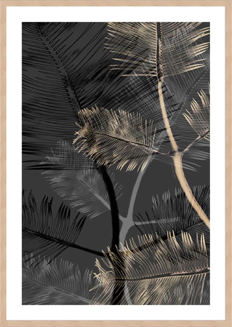 Transparent Blooms II - 5cm White Border Box Natural