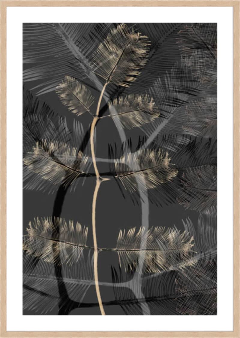 Transparent Blooms I - 5cm White Border Box Natural