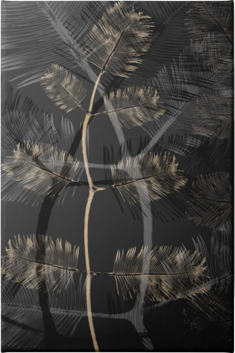 Transparent Blooms I - Unframed Canvas Unframed Canvas