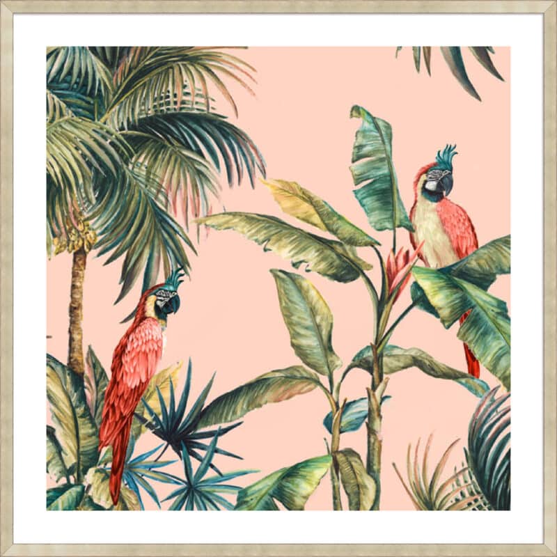 Tropicano II - 5cm White Border Sm. Box Champagne