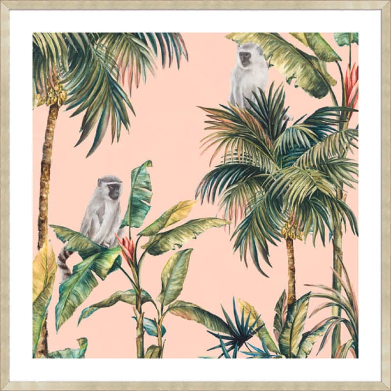 Tropicano I - 5cm White Border Sm. Box Champagne