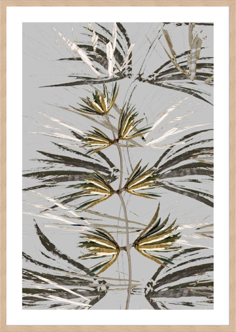 Vega II - 5cm White Border Box Natural