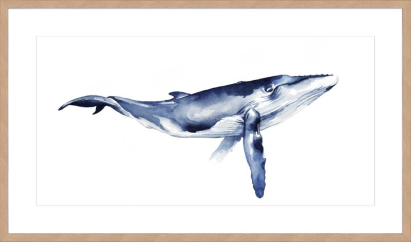 Whale Portrait I - 10cm Mount Board Lg. Box Natural