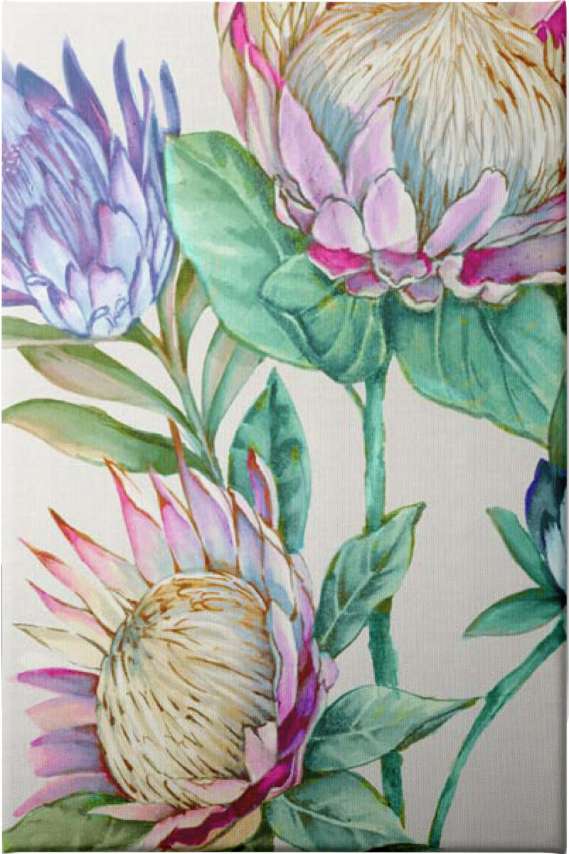 Wild King Protea - Unframed Canvas Unframed Canvas