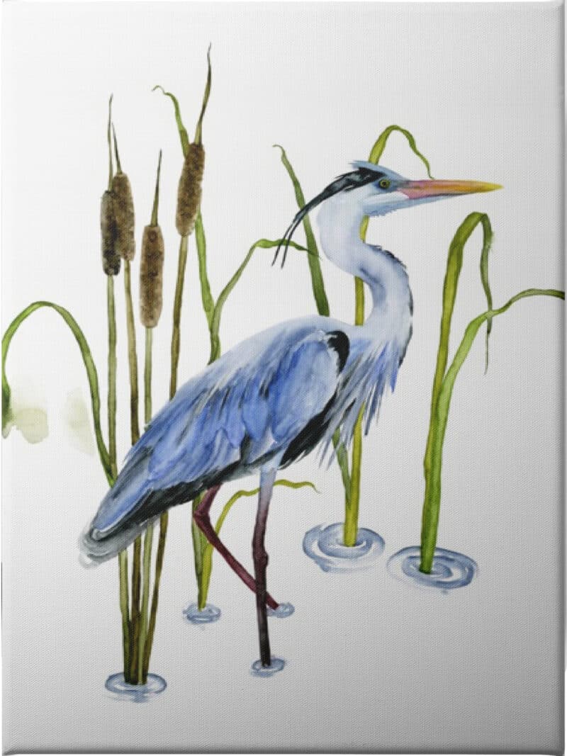 At the Pond II - Unframed Canvas Unframed Canvas