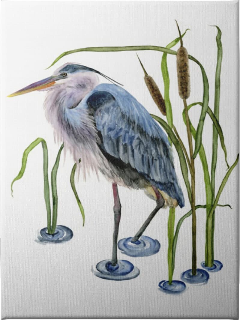 At the Pond I - Unframed Canvas Unframed Canvas