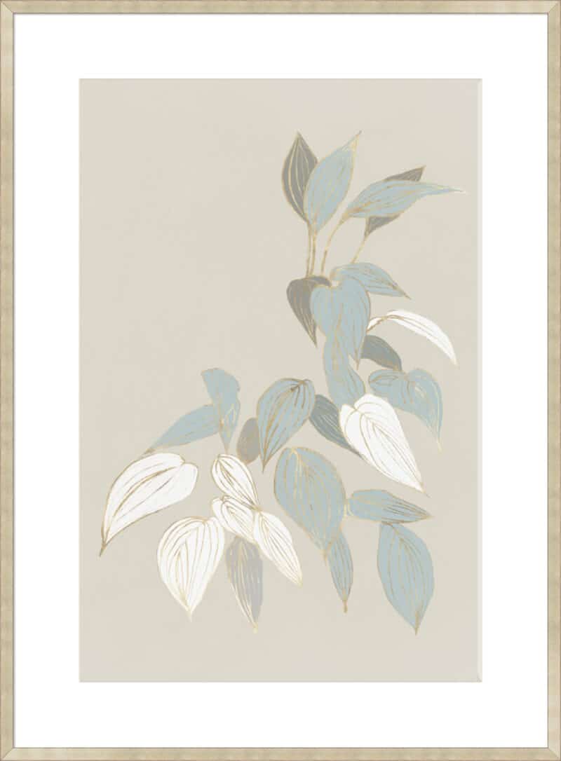 Augustus II - 10cm Mount Board Sm. Box Champagne