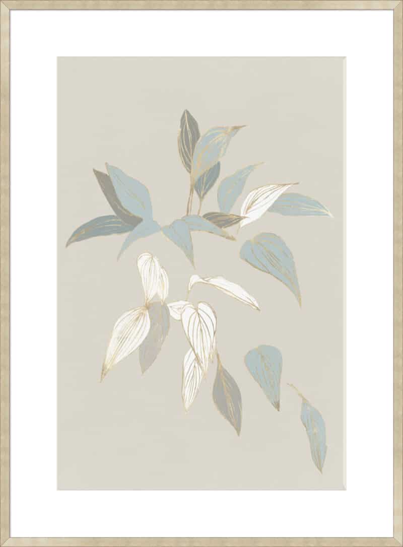 Augustus I - 10cm Mount Board Sm. Box Champagne