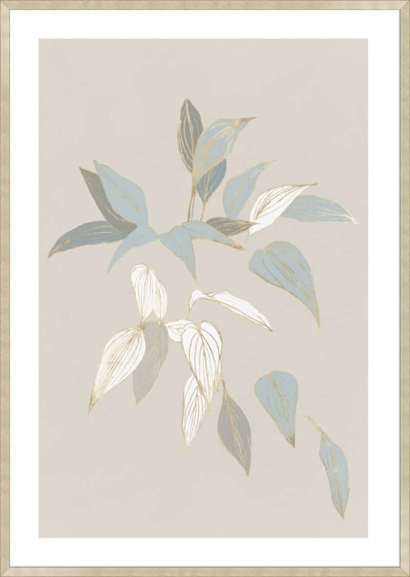 Augustus I - 5cm White Border Sm. Box Champagne