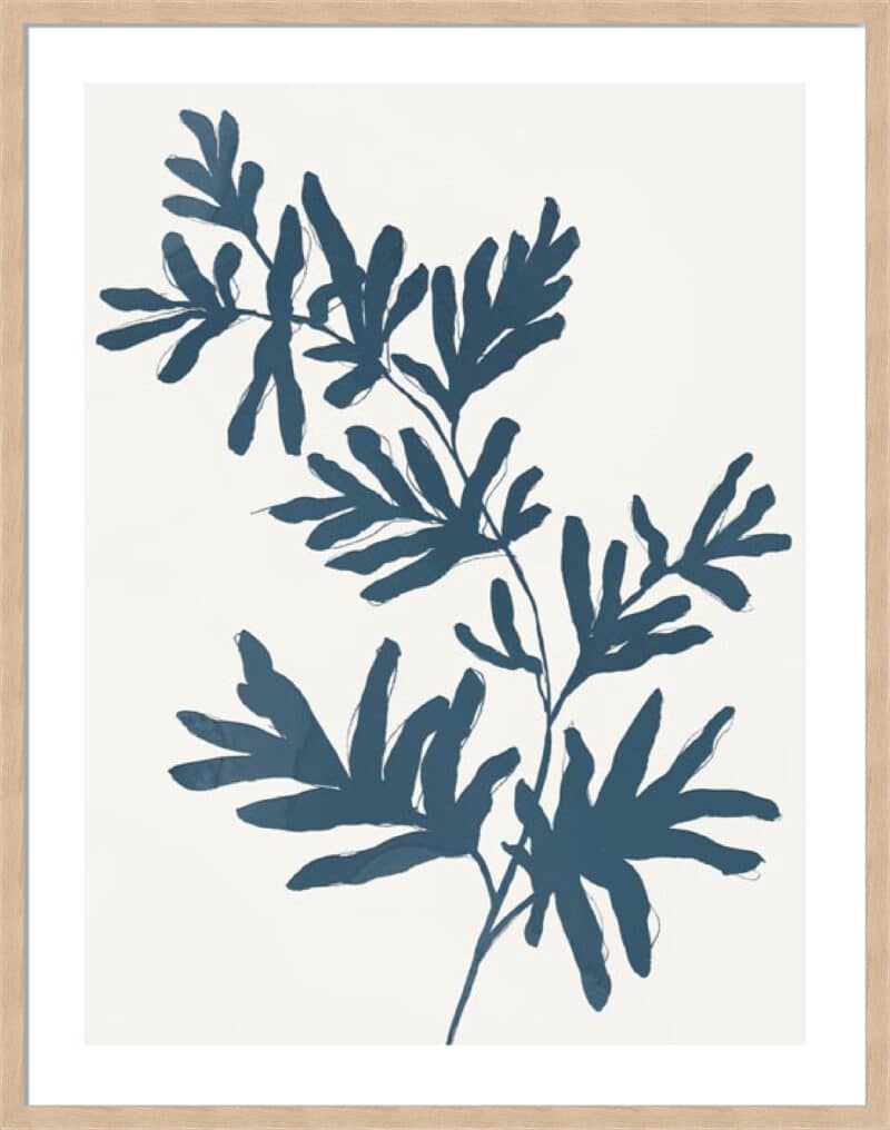 Blue Twig II - 5cm White Border Box Natural