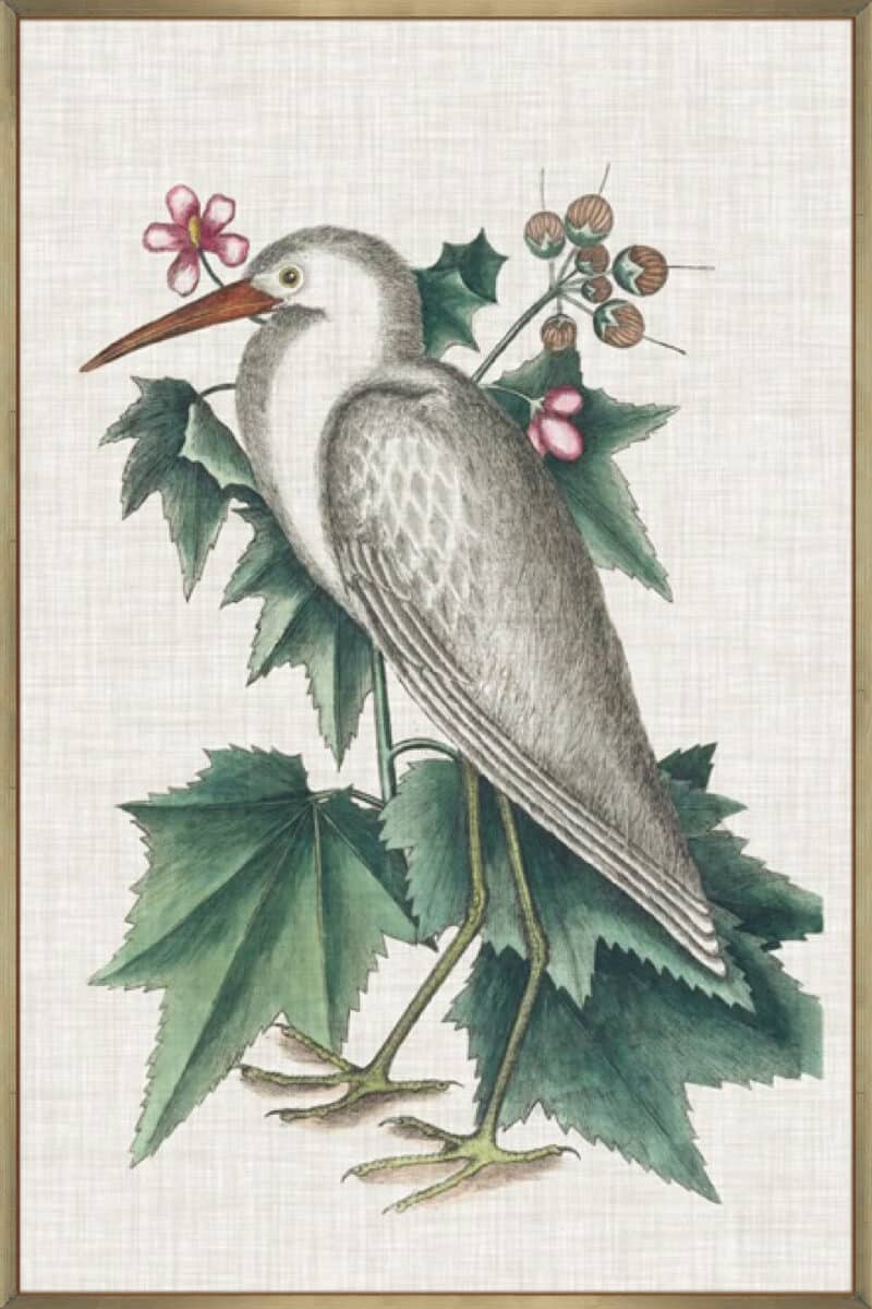 Catesby Heron III - Canvas Gallery Champagne
