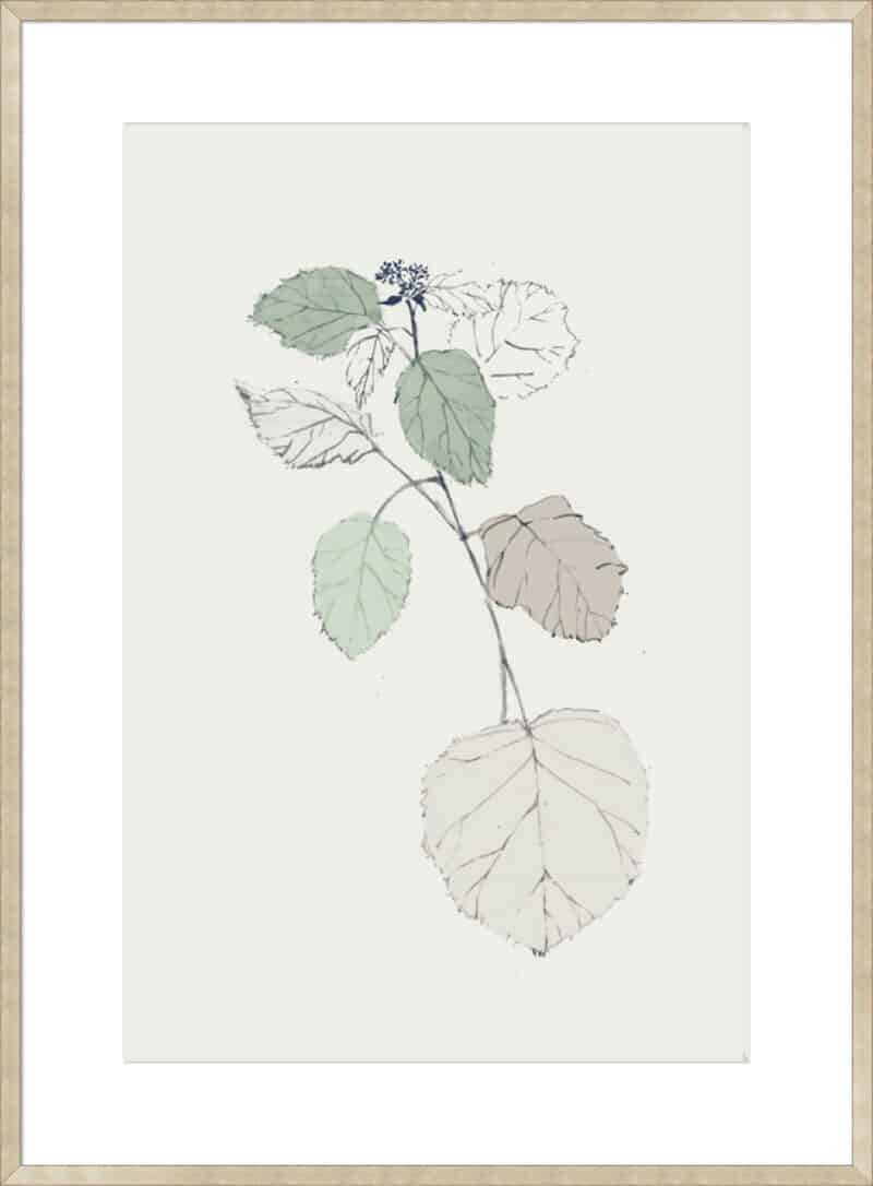 Come What May II - 10cm Mount Board Sm. Box Champagne