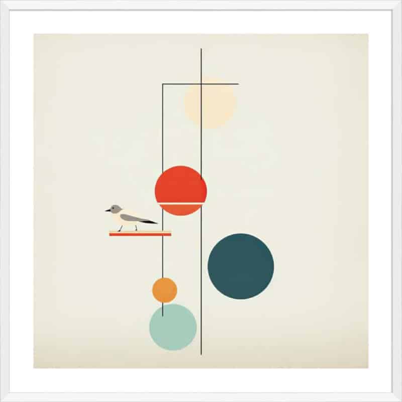 Companions I - 5cm White Border Box White