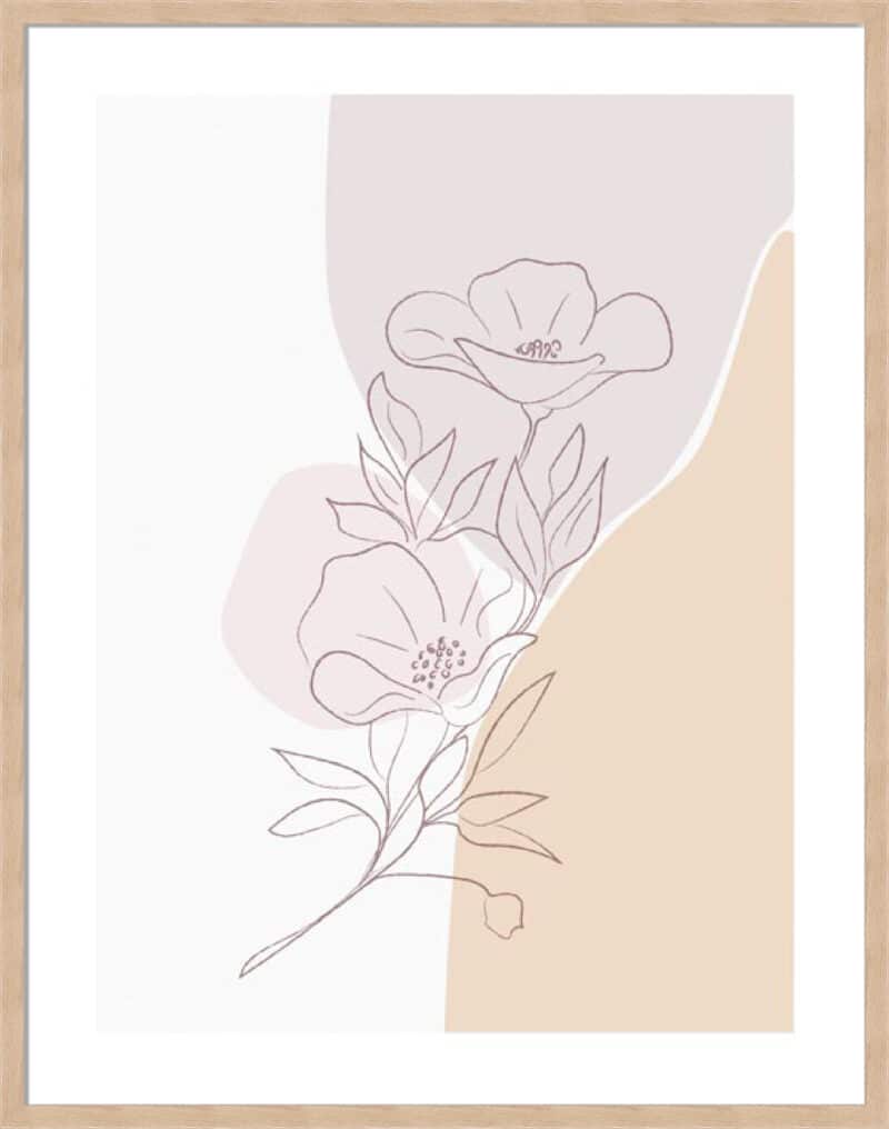 Dainty Daisy - 5cm White Border Box Natural